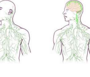 Old mapping of the lymphatic system compared with mapping based on new discoveries (Credit: University of Virginia Health System)